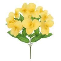 Yellow Orchid Bush, 18"
