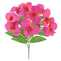 Pink Orchid Bush, 18"
