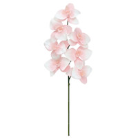 Light Pink Orchid Stem, 25"