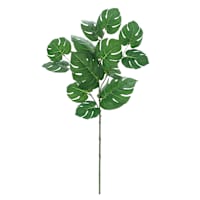 Philo Leaf Stem, 29"