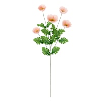 Pink Poppy Stem, 30.25"