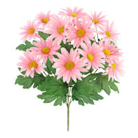 Pink Daisy Bush, 18"