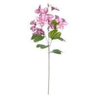 Pink Bauhunua Spray, 29"