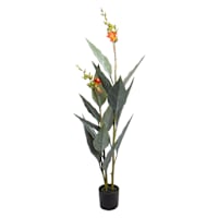Canna Plant in Plastic Pot, 45"