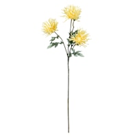 Yellow Aftrican Daisy Spray, 29"