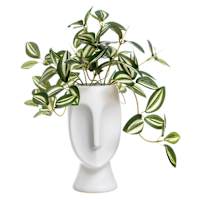Silver Inch Plant in Cement Pot, 9"