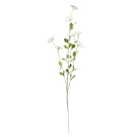 White Morning Glory Spray, 34"