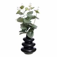 Eucalyptus in Black Ceramic Pot, 10"