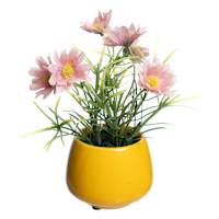 Pink Daisy in Yellow Ceramic Pot, 6"