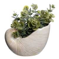 Eucalyptus in Ceramic Shell Pot, 7.5"