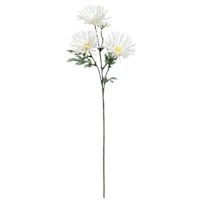 White African Daisy Spray, 29"