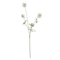 White Scabiosa Spray, 29.5"