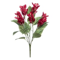 Red Ginger Flower Bush, 22"