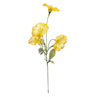 Yellow Morning Glory Pick, 12"