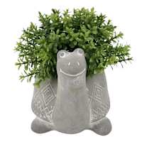 Greenery in Snail Pot, 4"