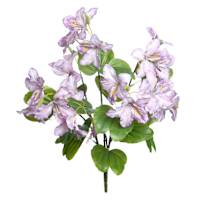 Purple Bauhinia Bush, 21"