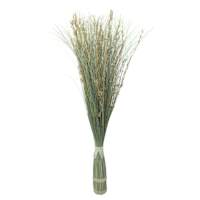 Honeybloom Dried Straw, Pampas & Palm Bundle, 60"