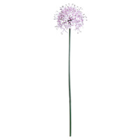 Light Purple Allium Stem, 29"
