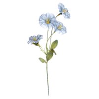 Blue Morning Glory Pick, 12"