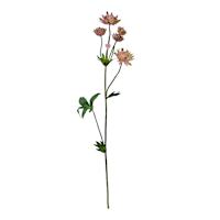 Pink Astrantia Spray, 22"