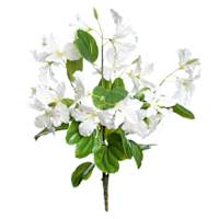 White Bauhinia Bush, 21"