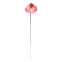Pink Anthurium Stem, 27"