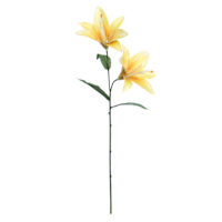 Yellow Casablanca Spray, 23"