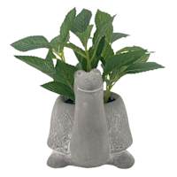 Greenery Arrangement in Pot, 6"