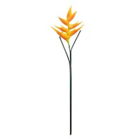 Orange Helicopia Stem, 34"