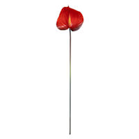 Red Anthurium Stem, 27"