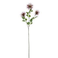 Purple Xanthium Stem, 28"
