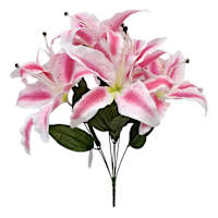 Pink Tiger Lily Bush, 19"