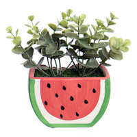 Grass in Ceramic Watermelon Shaped Pot, 6"