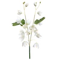 Willow Crossley White Columbine Pick, 12"