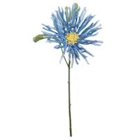 Blue African Daisy Pick, 11"