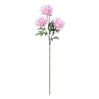 Purple African Daisy Spray, 12"