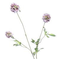 Purple Scabiosa Spray, 29.5"