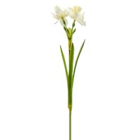 Natural-Touch Narcissus Pick, 12"