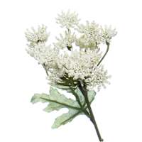 Willow Crossley White Queen Anne's Lace Pick, 11.5"