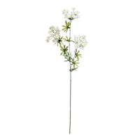 White Queen Anne's Lace Spray, 31"