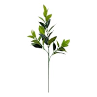 Green Rose Leaf Spray, 25"