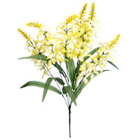 Yellow Hyacinth Bush, 20"
