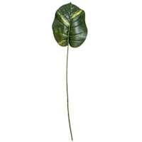 Philodendron Stem, 35"