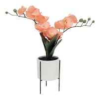 Orange Real-Feel Orchid in Pot, 18"