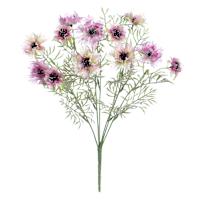Purple Cornflower Bush, 19"