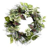 Queen Ann Lace & Coleus Wreath, 24"