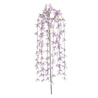 Purple Hanging Forsythia Spray, 49"