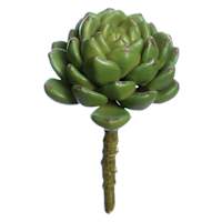 Green Rose Echeveria Pick, 5"
