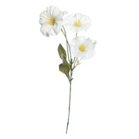 White Morning Glory Pick, 12"