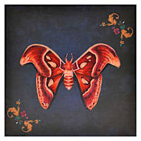 SCADpro Moth Canvas Wall Art, 12"